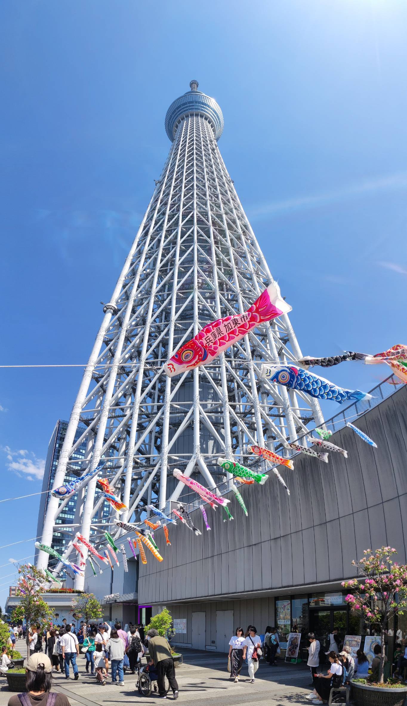 あやしさ満点です。 「おみせやさんごっこ」の売り子さんが頑張る姿