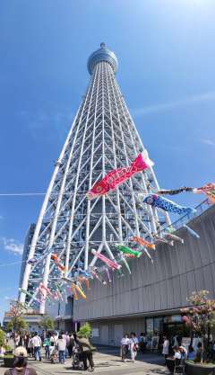 あやしさ満点です。 「おみせやさんごっこ」の売り子さんが頑張る姿