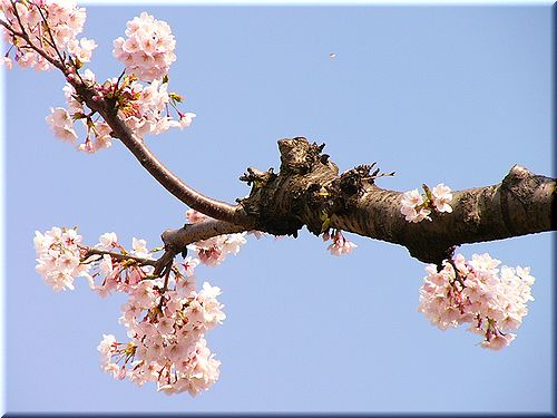 竹原さん、ほんとにありがとうございました！  あ、新宿じゃなくて