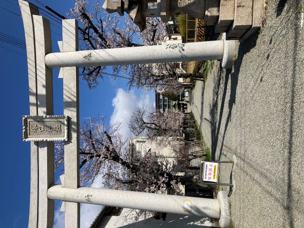 私の散歩道  菊地さんは芥川、辰巳さんは庄下川を散歩されているが