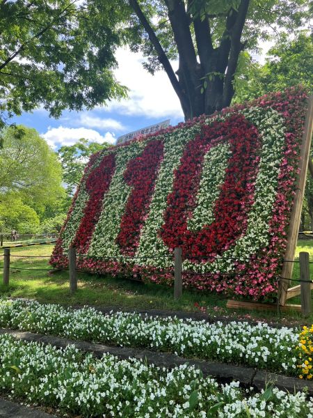 ５月４日みどりの日  自宅近くの西上坂部公園に散歩に行った。  