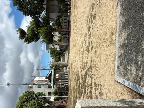 今日も塚口神社に妻と散歩した。  皆さんは足腰は大丈夫ですか？ 