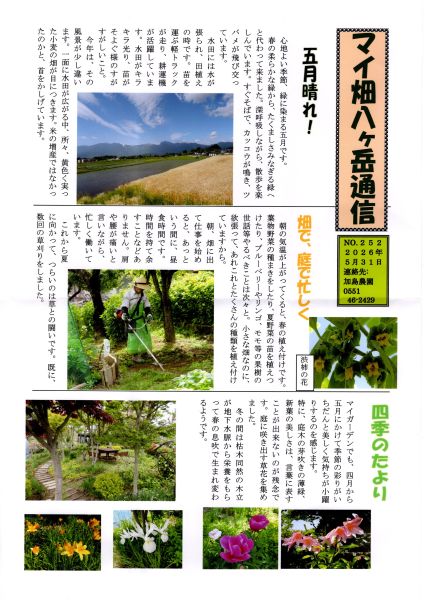 加島先生  昭和４５年の夏、私はインターハイ大分大会の軟式テニス
