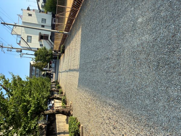 7/24　早朝の塚口神社  毎朝、塚口神社まで散歩をしています。