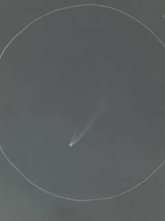 みなさまこんばんは。 先日、11/23の明け方にアイソン彗星を見