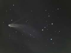 ラブジョイ彗星も地球から遠ざかりはじめて、段々小さく暗くなってき