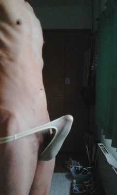 朝立ちな…写真です(笑)