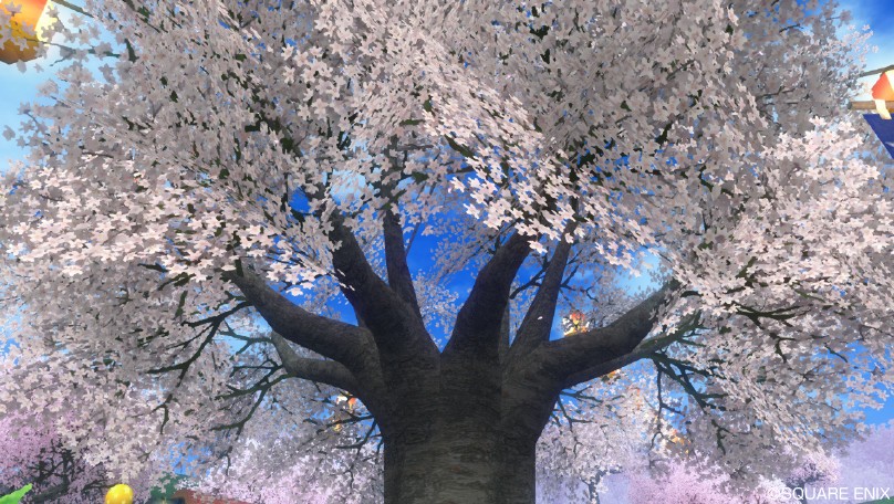 さすが春祭！綺麗な桜すねぇ(^^)