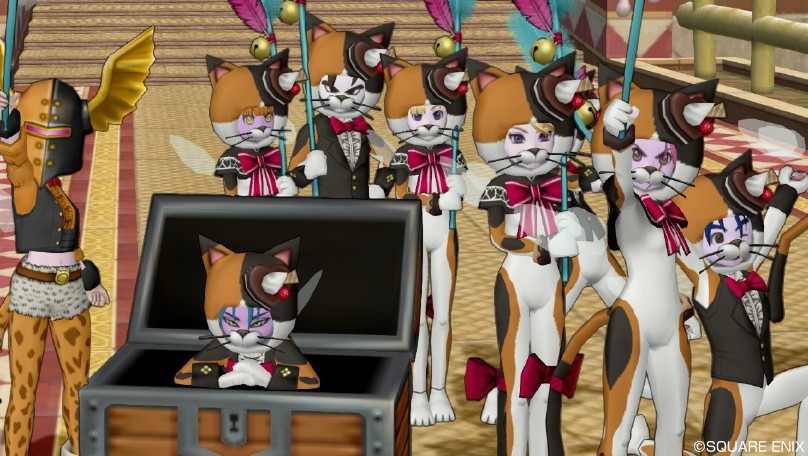 このねこちゃんを拾って下さい！ 目つき悪くて顔色も悪くて抜け毛ぎ