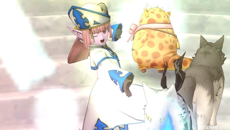 ズーム6