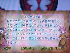 依頼書の形で着ました