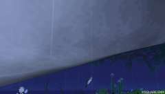 目の前にマグロが！