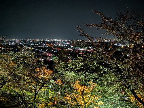 あんずさん、こんにちは♪ お父さま、お大事にしてもらってください