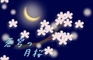 「蒼穹の月桜」一般専用掲示板
