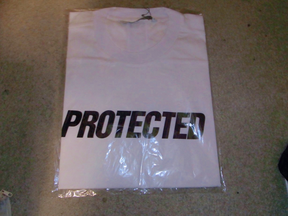 半袖Ｔシャツ。無難に使えます。