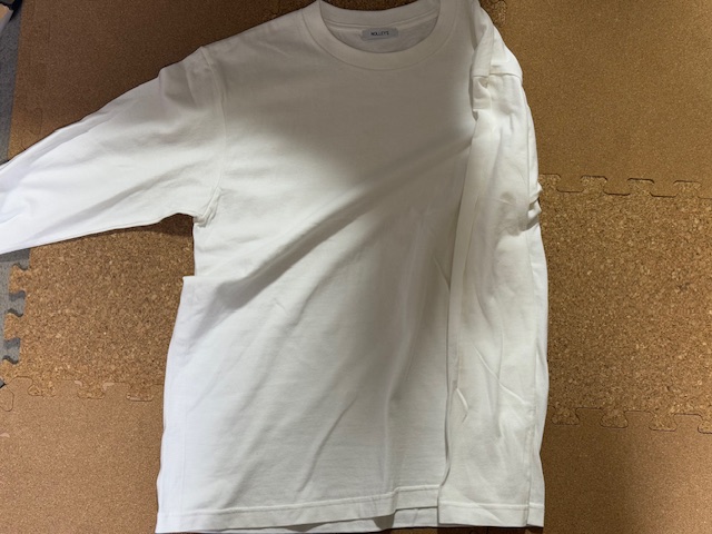 これも分離する 白無地のカットソー