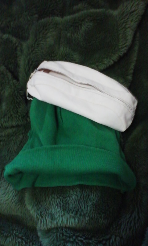 白のペンケースみたいなポーチに入っていた緑のニット帽もどき 72