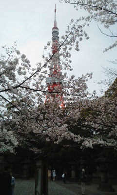 徳川家の墓所から 東京タワーを 望む
