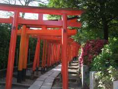 京都の伏見稲荷大社にある千本鳥居のようです。