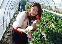 イチゴ狩りをする「珠乃」さん。