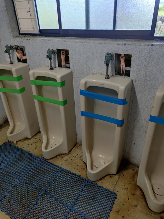 いかがでしょうか？