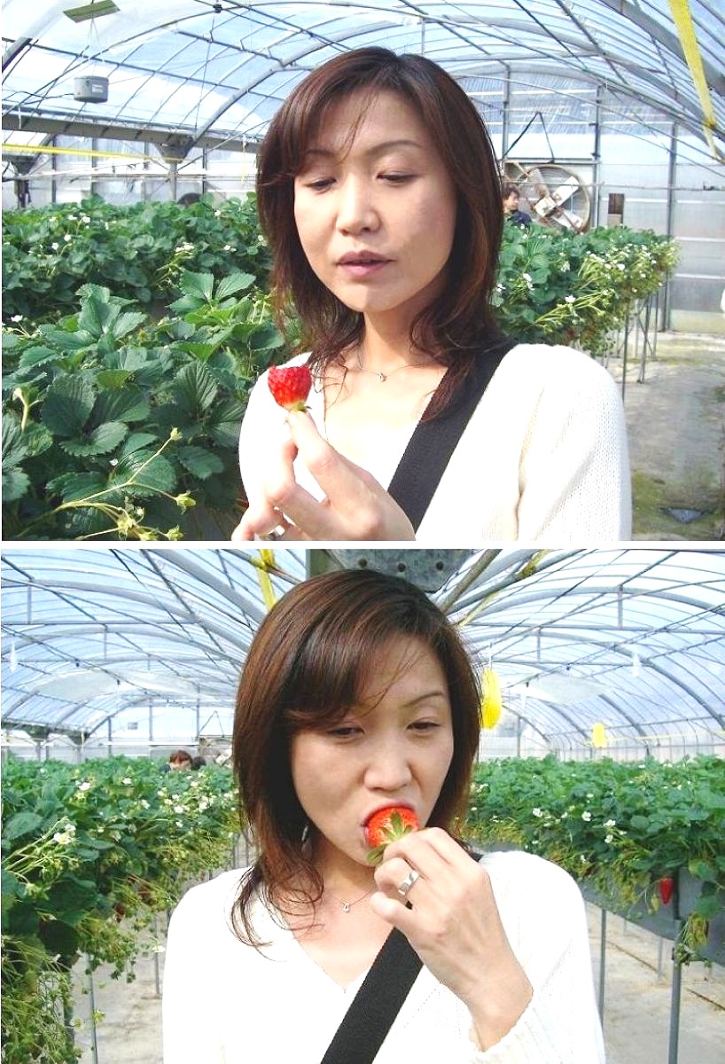 イチゴを食べる美咲さん