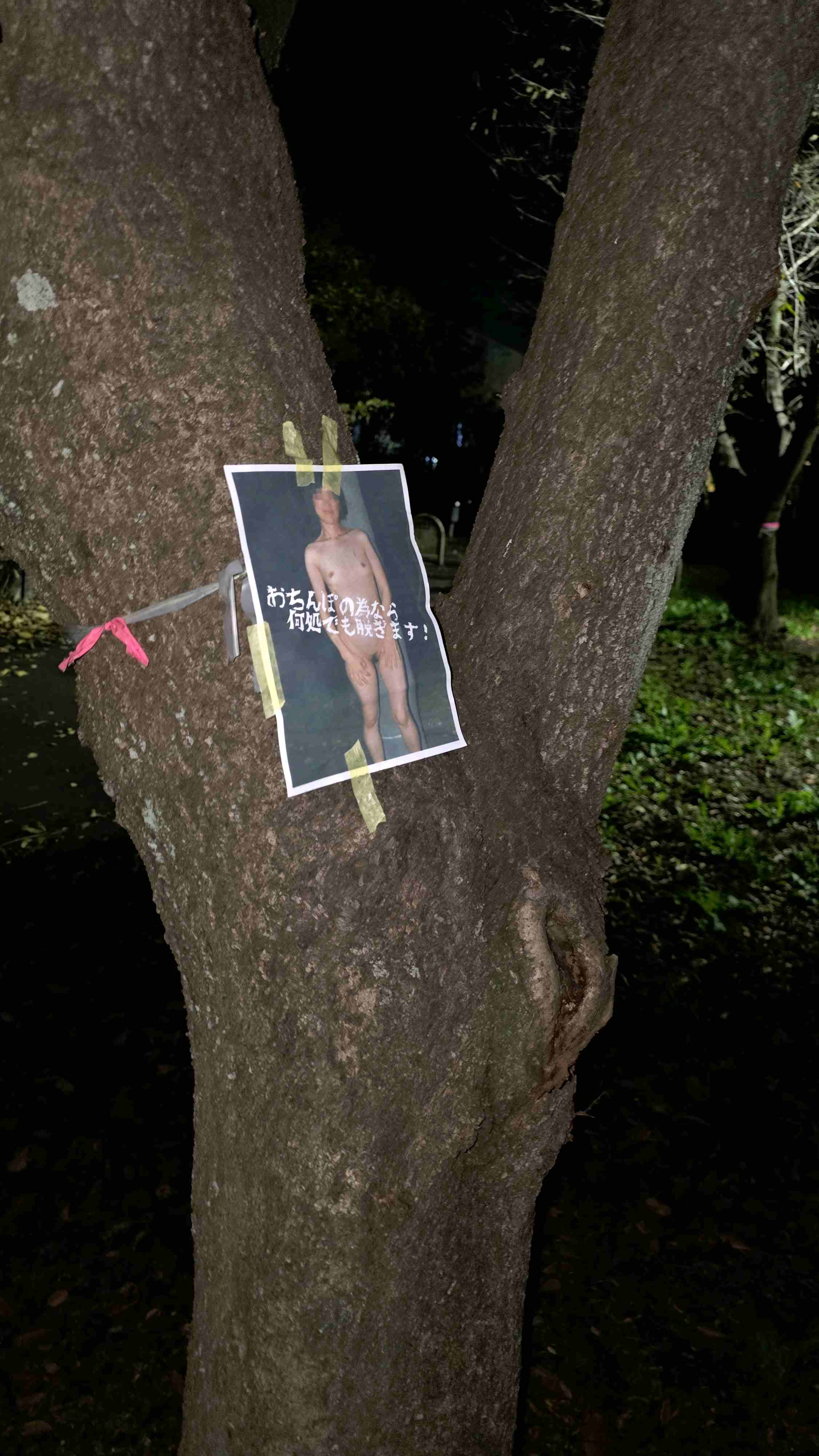 ご依頼妻を晒しました