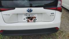 時々駐車場の車にも無修正の妻の画像を置いたりします