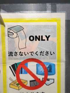見えてる？