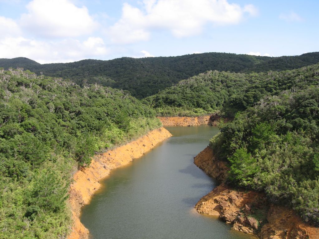 たぶん普久川 本土(?)とは全く違う川の風景。