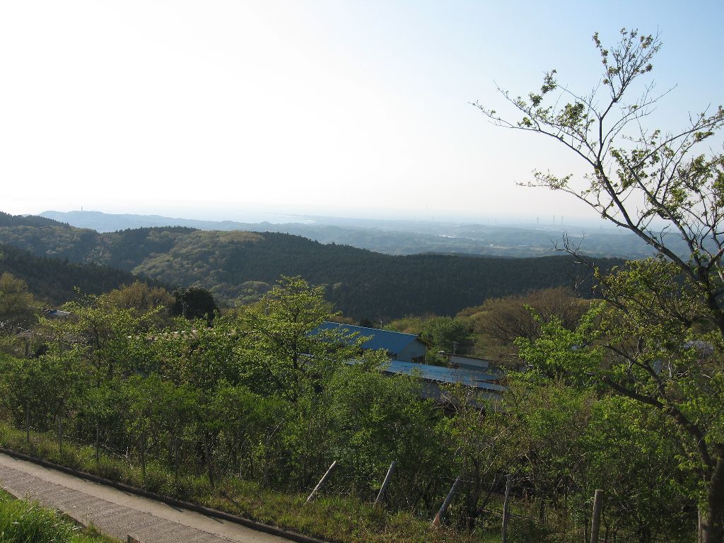 鹿野山 展望台がどうも閉鎖されてたっぽいので 道ばたから適当に展