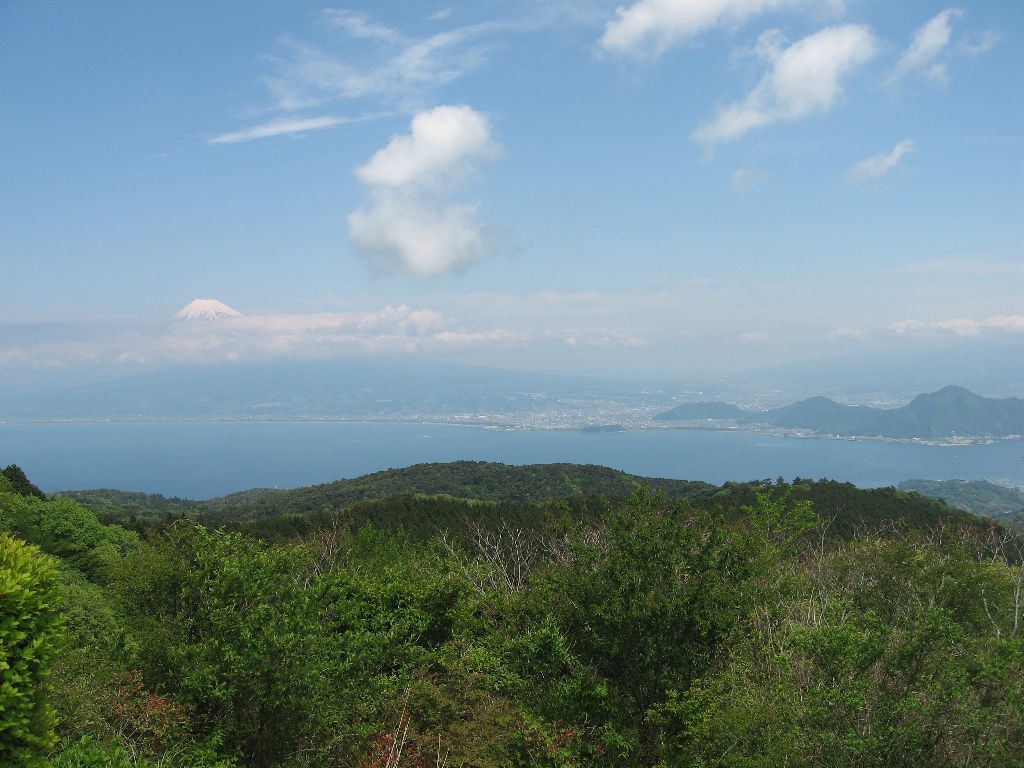 翌日、伊豆半島を回る。 海岸線沿い一周は何度もしてるので、 今度