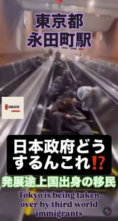 　（画像参照。）