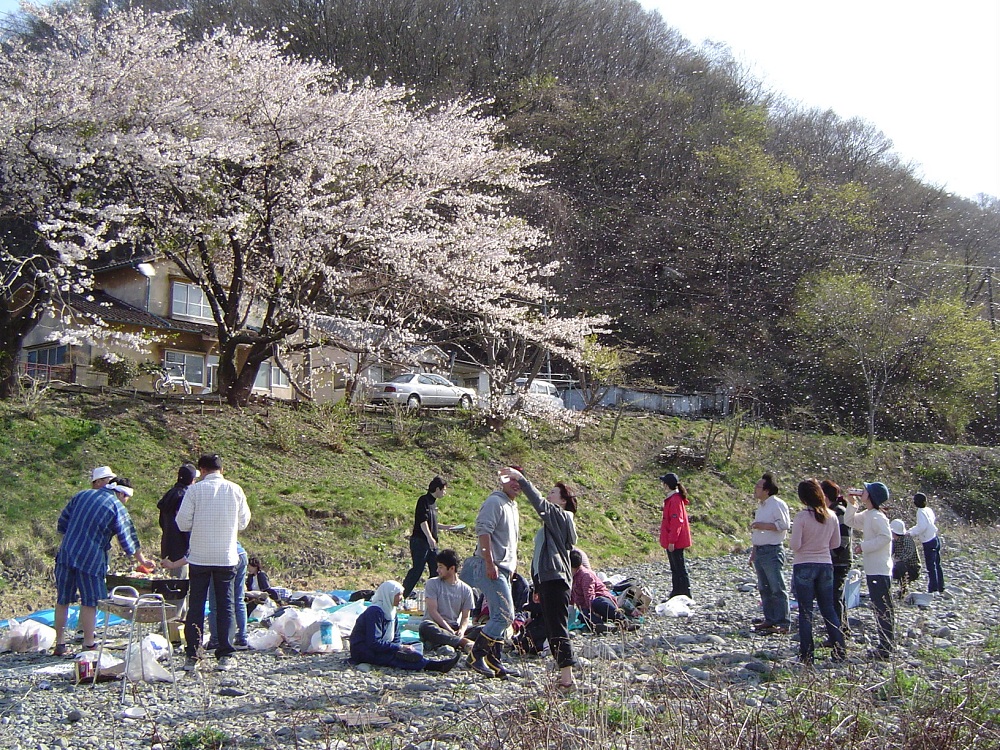 撮影日：4/18/2004 場所：上中島アパート前の河川敷 コメ