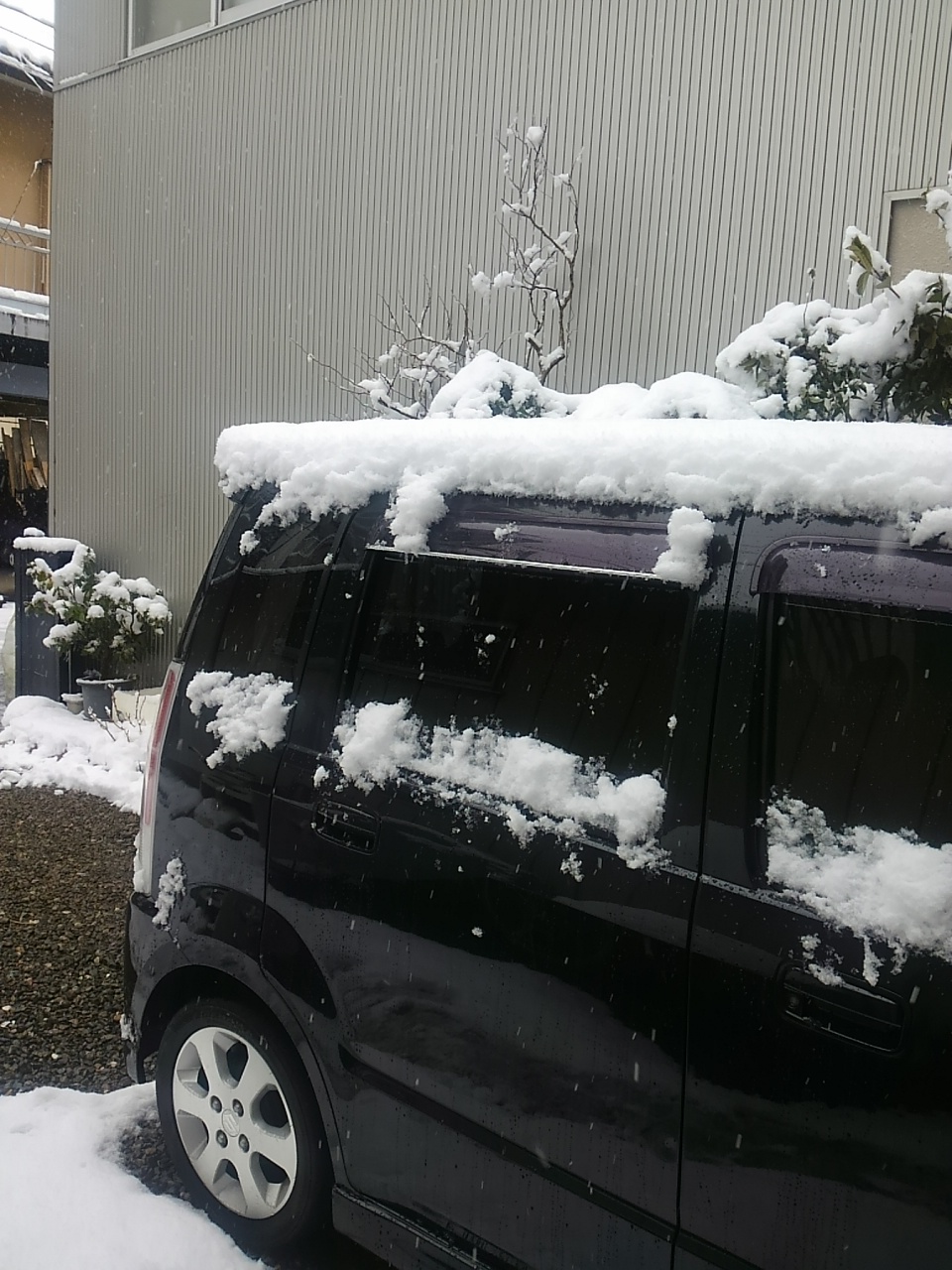 おはようございます。 埼玉県南部は10cmの積雪です。 冬用タイ