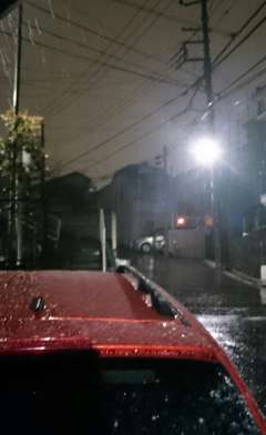 こちら、横浜 雨で下が濡れていたのでまだ積もってはいません。 こ