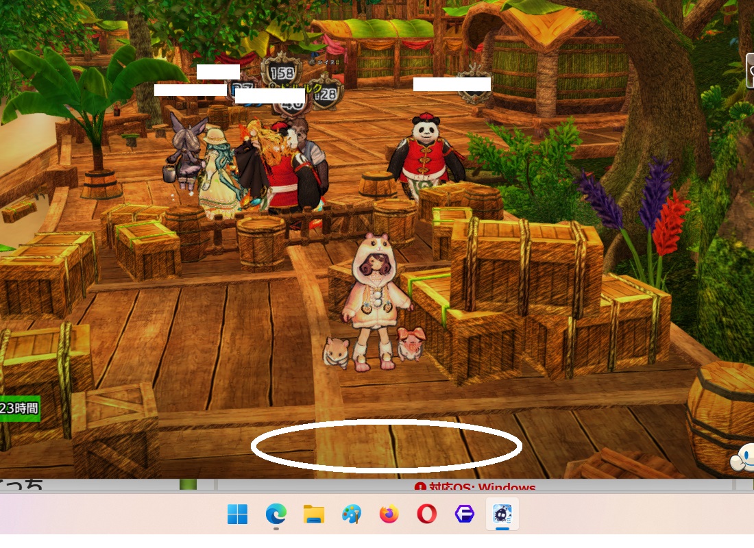 ナルポポのE10ドルルクさんの前に立ち、（画面の切り替えオートは