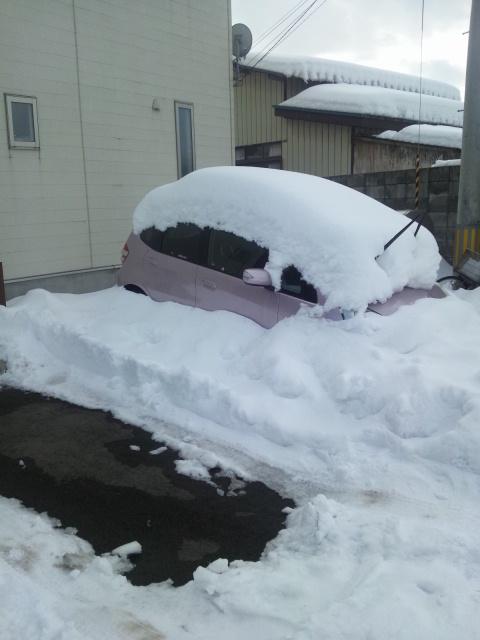 寒いのでなんとなく冬の写真を。 前の冬の様子です。一週間実家に帰