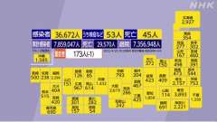 ２９日のコビット１９全国の重症者h１７３人で前日比１人減少、 １