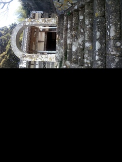 2025年12月31日(水) ・ こんな夢を見た。  夢での私は