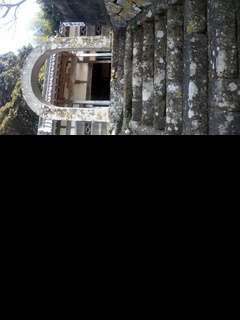 2025年12月31日(水) ・ こんな夢を見た。  夢での私は