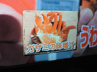 出席できなくて ごめんなさい  一週間の中で土曜日が一番疲れて
