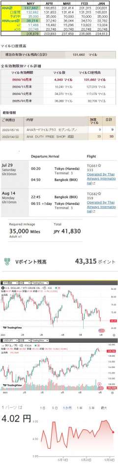 【ANAマイル】 累計獲得975,162M→807,500M搭乗