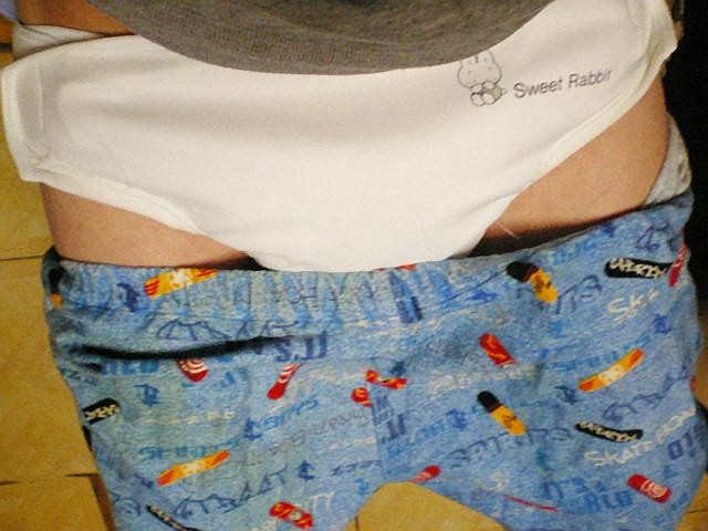 フジポニー95おむつカバー　しています