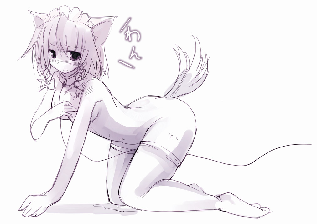 見るか　見ないかは貴方次第...ｗ