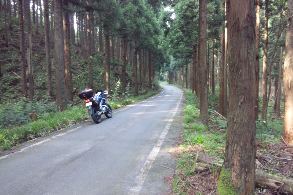 県境を越えて鳥取県若桜町の林道。 あとは戸倉峠を越えて帰りました