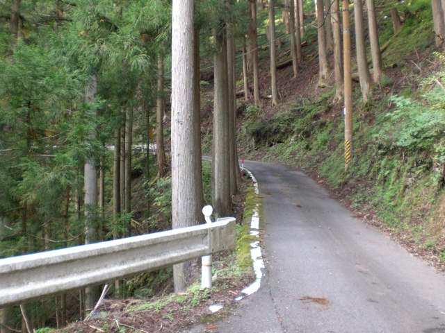峠を下りた所は京都・腐道361号。 この辺はこんな道ばかりで大好