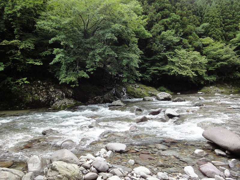 岐阜県岩屋ダムのもっと奥へ行って来ました 滝っぽいのもあります