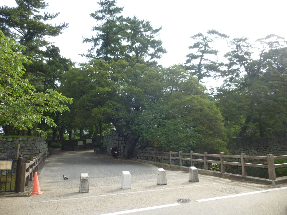 津城に行って来た  ここは伊賀上野城と並び、城作りの名人・藤堂高