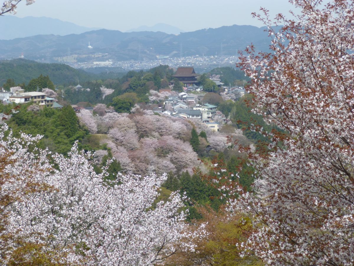 吉野に着いた  さすが桜の名所